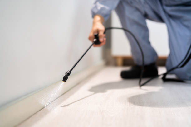Licensed Termite Control service in Morrisonville, IL - Show Me Pest Control