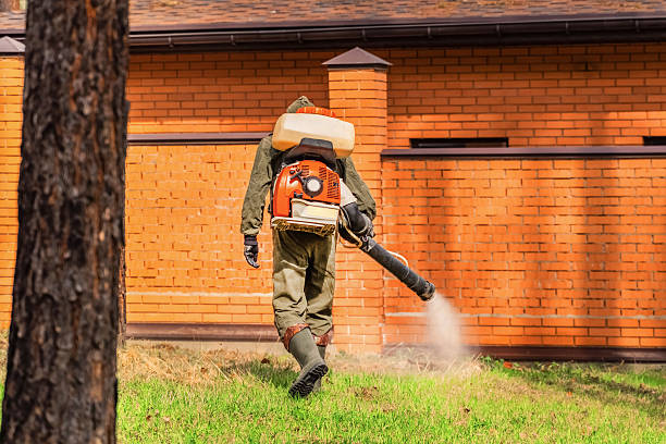 Top rated local Ant Control specialists in Morrisonville, IL